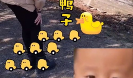 数鸭子视频,趣味互动，寓教于乐的儿童启蒙之旅
